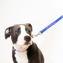 Load image into Gallery viewer, I Love Walks Dog Leash