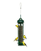 Load image into Gallery viewer, Squirrel Buster Finch