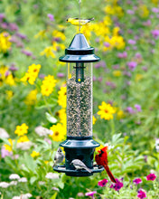 Load image into Gallery viewer, Squirrel Buster Plus