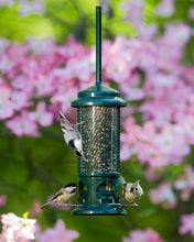 Load image into Gallery viewer, Squirrel Buster Standard