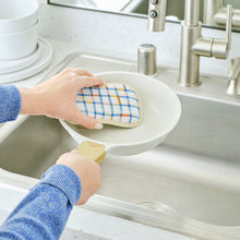 Load image into Gallery viewer, Farm Stand Scrubbie Set