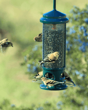 Load image into Gallery viewer, Squirrel Buster Legacy