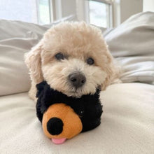 Load image into Gallery viewer, Tall Tails Grizzly 2 in 1 Ball 4"