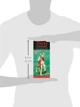 Load image into Gallery viewer, Mammals of the Southeast Tracks, Scats and Signs: Alabama, Georgia, Kentucky, Mississippi, North Carolina, South Carolina, Tennessee, Virginia, and West Pamphlet