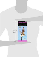 Load image into Gallery viewer, Shorebirds of North America: A Comprehensive Guide to All Species Pamphlet
