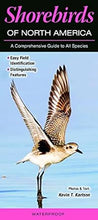 Load image into Gallery viewer, Shorebirds of North America: A Comprehensive Guide to All Species Pamphlet