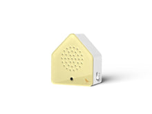 Load image into Gallery viewer, Birdy Box Blackbird