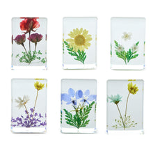 Load image into Gallery viewer, Wildflower Pressed Floral Keepsake in Gift Box