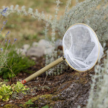 Load image into Gallery viewer, Wood Butterfly Net with Detachable Handle