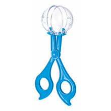 Load image into Gallery viewer, Backyard Explorer Set