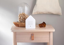 Load image into Gallery viewer, Birdy Box (White)