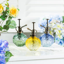 Load image into Gallery viewer, Etched Glass Plant Mister