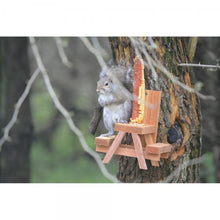 Load image into Gallery viewer, Squirrel Table Kit