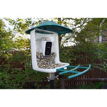 Load image into Gallery viewer, Beakview Bird Feeder Camera
