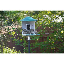 Load image into Gallery viewer, Beakview Bird Feeder Camera