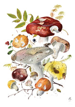 Load image into Gallery viewer, Mushrooms: Alexander Viazmensky Boxed Notecard Assortment