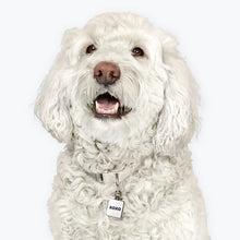 Load image into Gallery viewer, XOXO Pet Collar Charm