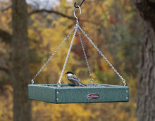 Load image into Gallery viewer, Recycled Tray Feeder (Green)