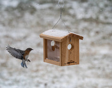 Load image into Gallery viewer, Cedar Hanging Bluebird Feeder