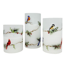 Load image into Gallery viewer, LED Birds on Bough Glass
