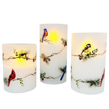 Load image into Gallery viewer, LED Birds on Bough Glass