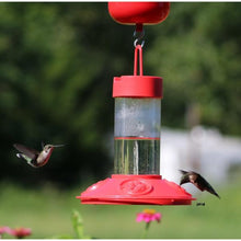 Load image into Gallery viewer, Dr. JB's Clean Feeder - Hummingbirds