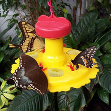 Load image into Gallery viewer, Butterfly Feeder