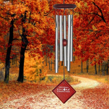 Load image into Gallery viewer, Chimes of Mercury Silver
