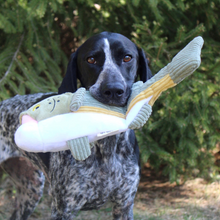 Load image into Gallery viewer, Tall Tails Plush Rainbow Trout