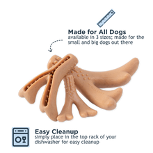 Load image into Gallery viewer, Tall Tails Antler Chew (PNB) - Small