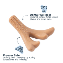 Load image into Gallery viewer, Tall Tails Antler Chew (PNB) - Small