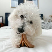 Load image into Gallery viewer, Tall Tails Antler Chew Bacon Scent - Medium