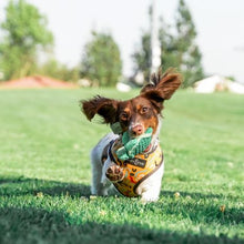 Load image into Gallery viewer, Tall Tails Baby Turtle with Squeaker Dog Toy