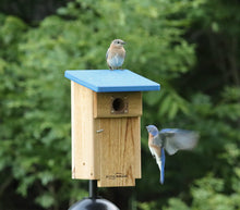 Load image into Gallery viewer, Bluebird Nest Box with Recycled Roof