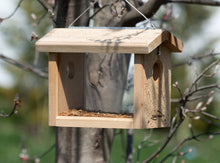 Load image into Gallery viewer, Cedar Hanging Bluebird Feeder