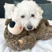 Load image into Gallery viewer, Tall Tails Rope Body Grizzly Bear 14"