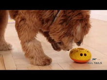 Load image into Gallery viewer, Tall Tails Natural Rubber Bee Hive Toy 4"