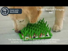 Load image into Gallery viewer, Tall Tails Clover Foraging Mat