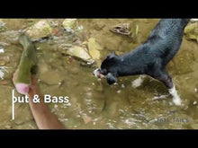 Load image into Gallery viewer, Tall Tails Plush Rainbow Trout