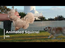 Load image into Gallery viewer, Tall Tails Plush Squirrel Twitchy Tail 9"