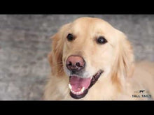 Load image into Gallery viewer, Tall Tails Natural Leather Bone Tug Toy