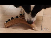 Load image into Gallery viewer, Tall Tails Antler Chew (PNB) - Small