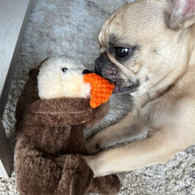 Load image into Gallery viewer, Tall Tails Rope Body Otter 13"