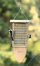 Load image into Gallery viewer, Double Cedar Suet Feeder with Tail Prop