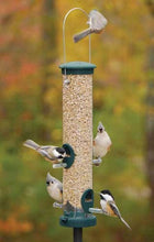Load image into Gallery viewer, Seed Tube Feeder - Stick Perches - Spruce