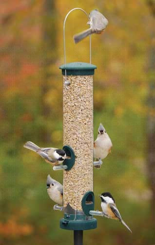 Seed Tube Feeder - Stick Perches - Spruce