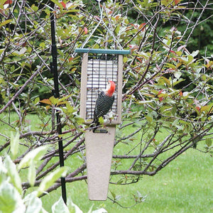 Recycled Suet Feeder - Double - Pileated Tail Prop