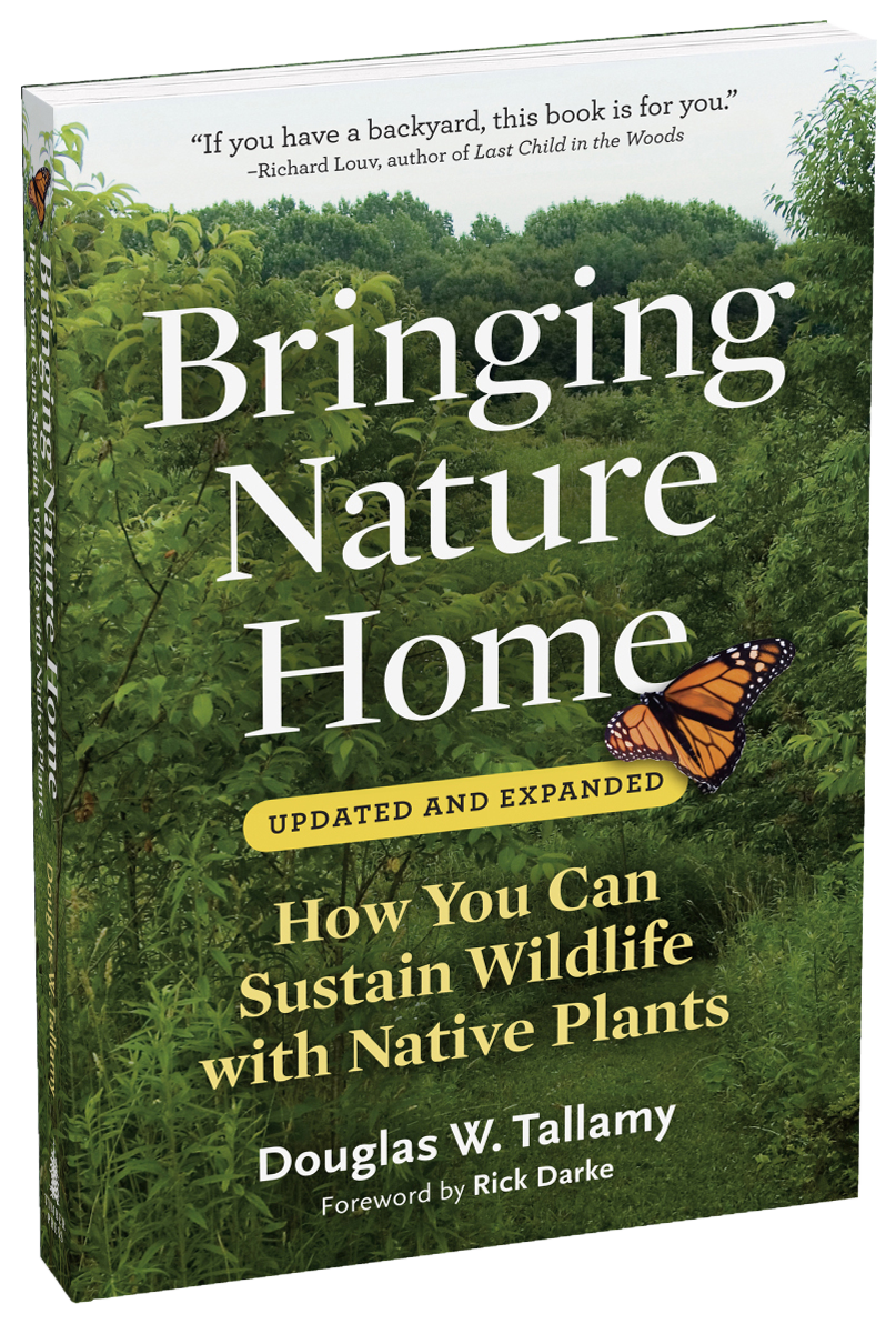 Bringing Nature Home - Douglas Tallamy