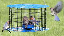 Load image into Gallery viewer, Bluebird Caged Mealworm Feeder - Blue
