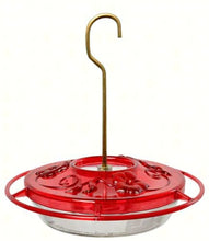 Load image into Gallery viewer, HummZinger - Little Fancy - 8 oz